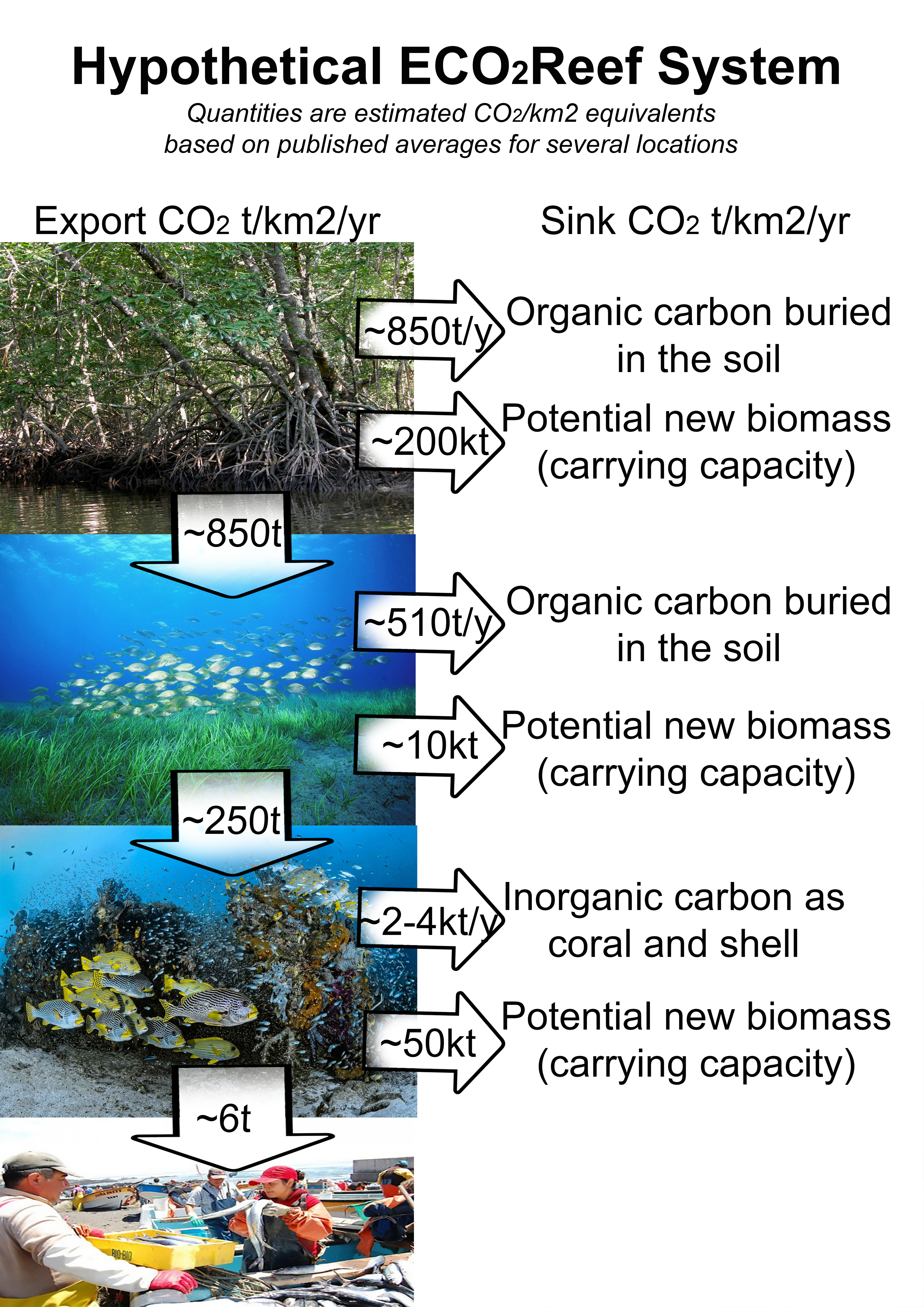 Hypothetical ECO-Reef Flow Diagram carbon offset removed